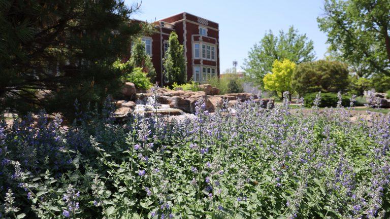 Flowers on campus